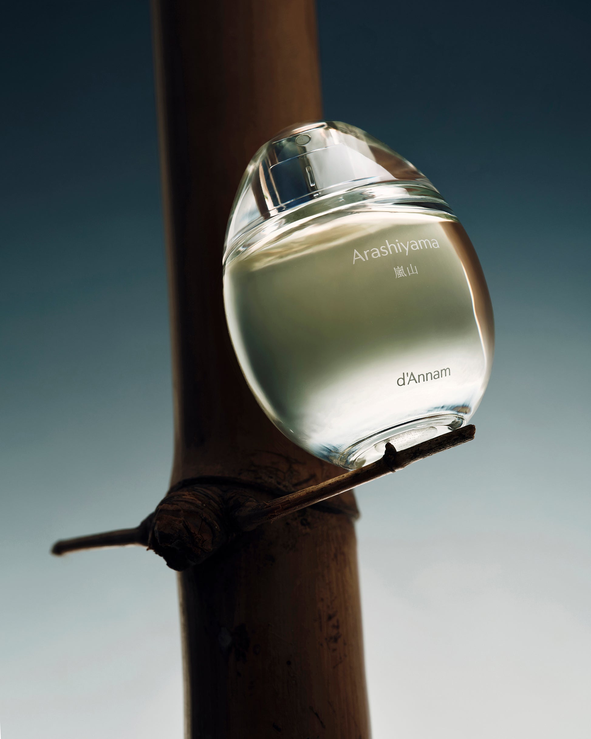 Perfume bottle labeled 'Arashiyama' by 'd'Annam' on a branch with a blurred background