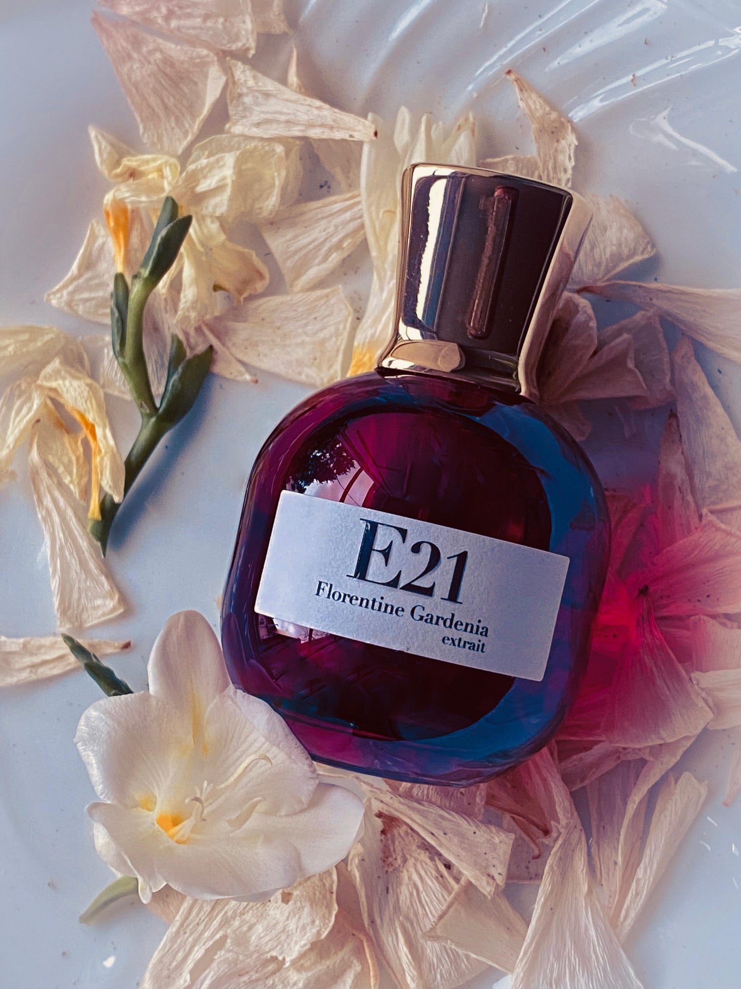 Florentine Gardenia E21